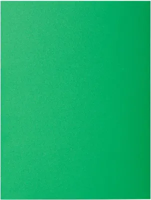 Produktbild von Exacompta Packung mit 100 Aktendeckeln ROCK''S 80, 22x31cm - Tannengrün 800004E