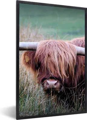 Produktbild von MuchoWow® Gerahmtes Poster Schottischer Highlander - Hörner - Gras 60x90 cm - Poster mit Schwarzem Bilderrahmen Wandposter Rahmen Foto Bilder - Kunst