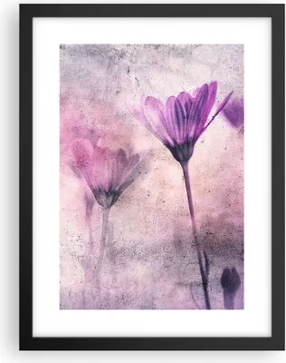 Produktbild von Gerahmtes Poster - Schwarzer Rahmen - Blumen Rosa Vintage - 30x40 cm - Wand Bild - Wanddeko - Wandbilder - Kunstposter - Wandposter - Bilderrahmen - Bilder - Kunstdruck - P2BPA30x40-4432