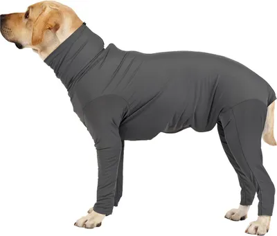 Produktbild von Anti-Hundehaarungsanzug, Haustier-Bodysuit mit vollständiger Abdeckung, chirurgischer Genesungsoverall, E-Halsband, alternatives Angstberuhigungsshirt für Hündinnen und Rüden