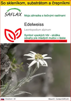 Obrázok produktu pre SAFLAX Kultivačný set - Edelweiss - Leontopodium alpinum - 500 Semená - S mini skleníkom, pestovateľským substrátom a 2 črepníkmi