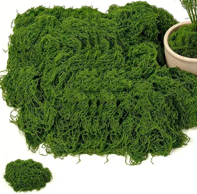 Image de Mousse décorative, couleur vert foncé, 400 g, pour la décoration