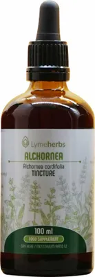 Produktbild von Alchornea-Tinktur 1:2 (100ml)