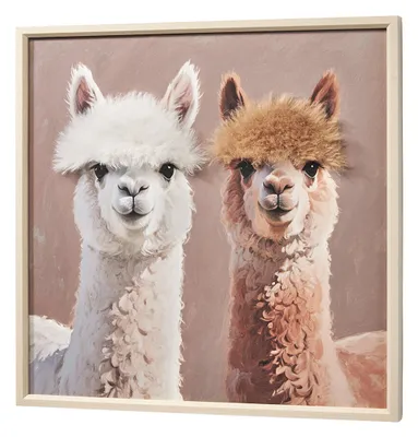 Produktbild von Kobolo 3D Wandbild Leinwand ALPAKA DUO mit Kunstfell 60x60 cm | Wandbild Leinwandbild Wanddeko Wohnzimmer Kinderzimmer