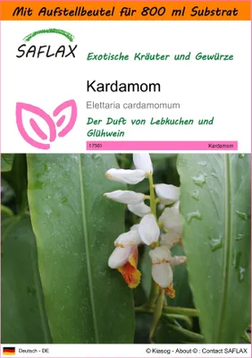 Produktbild von SAFLAX - Garden in the Bag - Kräuter - Kardamom - 20 Samen - Mit Anzuchtsubstrat im praktischen, selbst aufstellenden Beutel - Elettaria cardamomum