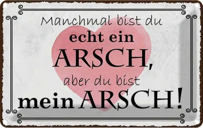 Produktbild von vianmo Blechschild 20x30 cm manchmal bist du ein ARSCH aber Spruch Zitat