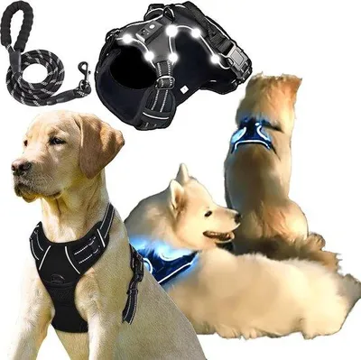 Image de Harnais anti-traction ajustable pour chiens de petite et grande taille