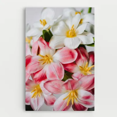 Produktbild von ARTHUB® Leinwandbild 50x70 cm, Beautiful Exotic Flower | Wohnzimmerdekoration, Hängende Bilder, Wanddekoration, Heimdekoration, Blumen, Exotische Blumen