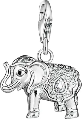 Zdjęcie produktu dla Thomas Sabo, zawieszki dla kobiet, model 1050-041-14