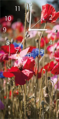 Produktbild von Wallario Design Wanduhr Mohnblumen am Rande eines Feldes aus Echtglas, Größe 30 x 60 cm