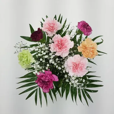 Produktbild von Blumenstrauß - klassischer Nelkentraum - Blumenversand zum Wunschtermin