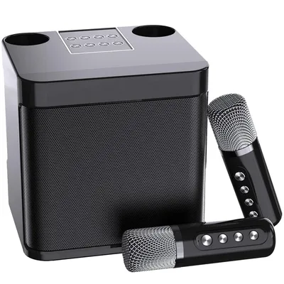 Produktbild von Bluetooth Karaoke Box mit DSP-Stereo, 7 Soundeffekte, TF/USB/AUX, Duo Mikrofone für Kinder & Erwachsene