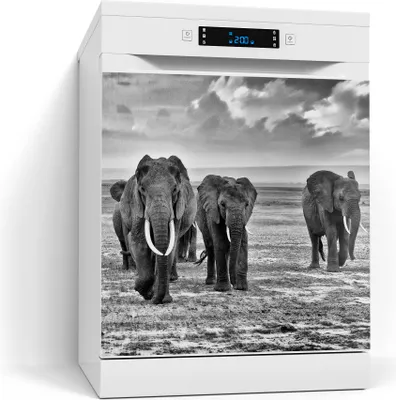 Produktbild von DEQORI Magnetmatte Spülmaschine beschreibbar 60x60 cm 'Elefantenmarsch' Magnetfolie