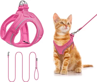 Productafbeelding van Famanu katten- en puppyharnas met verstelbare riem - Roze - Maat L