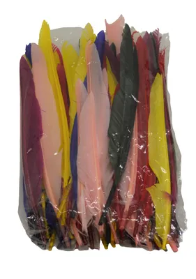 Produktbild von Indianerfeder, gemischt, 17,5 cm, Beutel 75 Stück