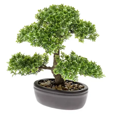 Produktbild von Emerald Kunstpflanze Bonsai Mini-Ficus Grün 32 cm 420002
