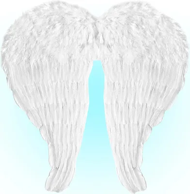 Immagine prodotto di ALI DI MOSSE BIANCHE MODELLABILI 51x46 cm