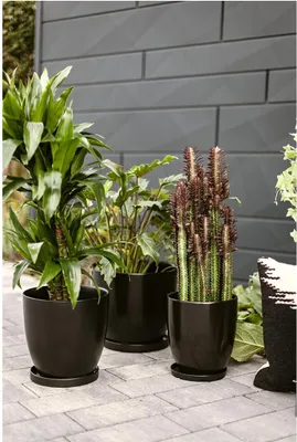 Produktbild von Wikholm form Design Untersetzer schwarz ⌀ 19 cm