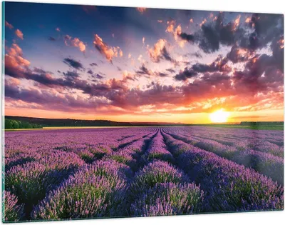 Produktbild von Bilder auf glas - Lavendel Berge Feld - 120x80cm - Glasbilder - Wandbilder - Kunstdruck - zum Aufhängen bereit - Wanddekoration aus Glas - Glas Bilder - Wandbild auf Glas - Einteilig - GAA120x80-3816