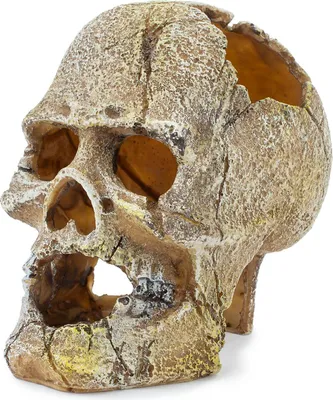 Produktbild von Happet Aquarium Ornament U715 Schädel 13 cm