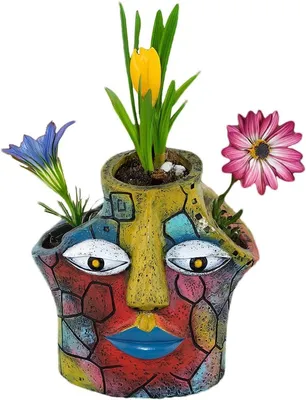 Blumentopf, Hauptbild