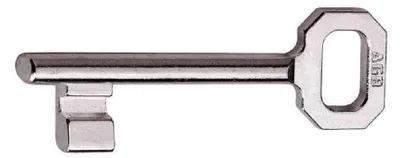 Image de CLÉ DE TYPE PATENT EN ACIER 5010 - PASSE-PARTout