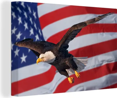 Produktbild von OneMillionCanvasses® - Leinwandbilder - 140x90 cm, Amerikanischer Weißkopfseeadler vor der amerikanischen Flagge, Wandbilder Kunstdruck Wanddekoration - Foto auf Leinwand - Gemälde