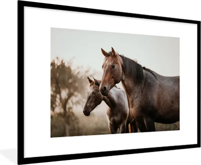 Produktbild von MuchoWow® MuchoWow® Gerahmtes Poster Pferde - Natur - Braun 90x60 cm - Poster mit zchwarzem Bilderrahmen - Wanddekoration - Fotos
