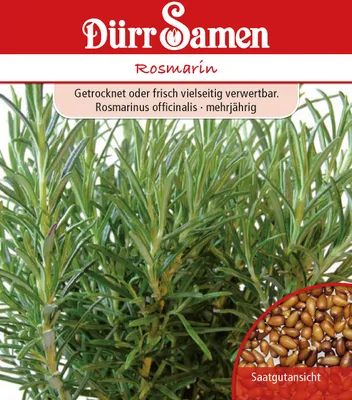 Artikelbild 1 von 'Rosmarin [MHD 12/2025]' aus der Kategorie Rosmarinsamen