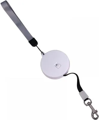 Image de Laisse rétractable pour petits animaux de compagnie jusqu'à 5 kg - portable et réglable