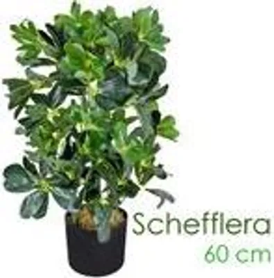Produktbild von Decovego Schefflera Kunstpflanze 60 cm, wie echt, aus hochwertigen Textilfasern & Kunststoff, pflegeleicht, mit biegsamen Stielen & Blättern und 1 Stamm, inkl. Kunststofftopf mit Zementfuß & Deko-Moos