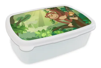 Obrázok produktu pre MuchoWow® Obedník Brotzeit Box na obed 11x17x6cm Opica - Džungľa - Chlapci - Dievčatá - Kvety - Deti Detský obedový box