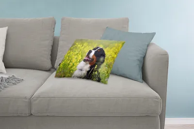 Produktbild von MuchoWow® Zierkissen Sofakissen Wohnzimmer Dekokissen 60x40 cm Ein Berner Sennenhund zwischen gelben Blumen - Kopfkissen - Polster mit Foto