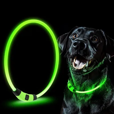 Image de Collier pour chien avec éclairage LED, en matériau TPU, étanche, pour animaux de compagnie, chats et chiens