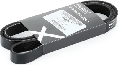 Produktbild von RIDEX Keilrippenriemen 1613mm für VW Golf V Schrägheck (1K1) 305P0077