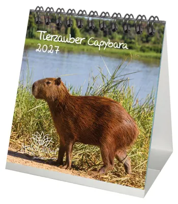 Produktbild von Tierzauber Capybara Tischkalender 10x10cm für 2027 Schweine Schweinchen - Seelenzauber