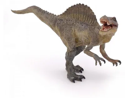 Zdjęcie produktu dla Papo Spinosaurus, 3 lat(a), Dinozaury, Szary, PCW