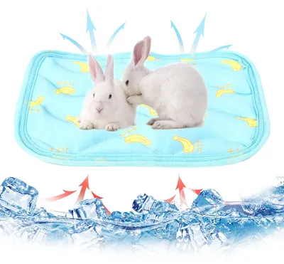 Produktbild von Kühlmatten für Kleintiere, 2 Stück