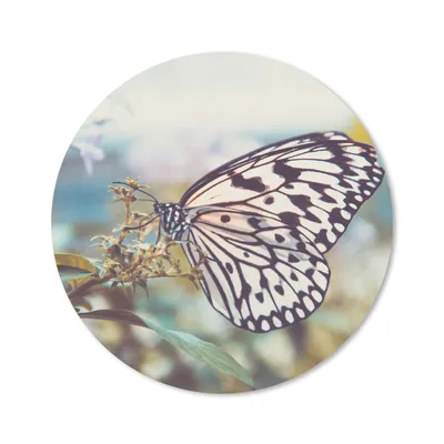 Produktbild von MuchoWow® Mauspad Mousepad Schmetterling - Blumen - Frühling 40x40 cm - Mousepads - Maus Mat - Pad - Mausunterlage - Schreibtisch Accessoires