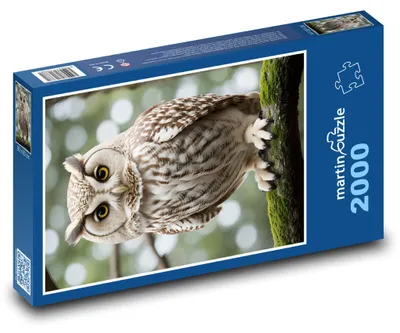 Obrázek produktu pro martinpuzzle - Puzzle 2000 - Sova