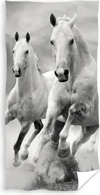 Produktbild von ręcznik plażowy Horses 70 x 140 cm bawełna biały/czarny