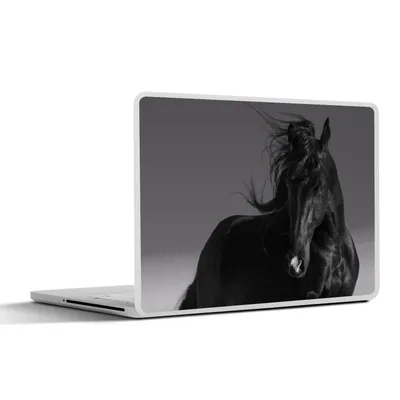 Produktbild von MuchoWow® Laptop Aufkleber Sticker Cover Pferd - Tiere - Mähne - Schwarz 40x30 cm - Laptop Dekoration - Selbstklebend