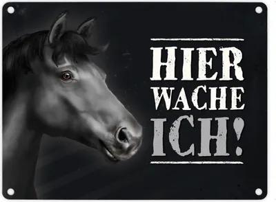 Produktbild von Metallschild mit Pferd Motiv und Spruch: Hier wache ich! Metallschild