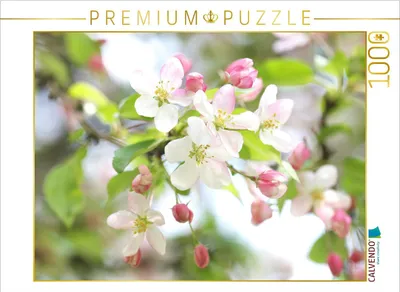 Zdjęcie produktu dla CALVENDO Puzzle. Motyw z kalendarza: kwitnące drzewo. 1000 elementów. Rozmiar układanki: 64 x 48 cm. Puzzle fotograficzne, idealne na chwile relaksu