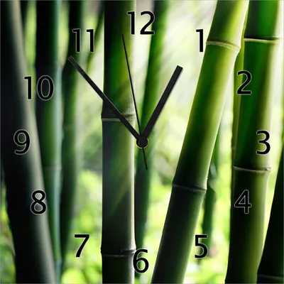 Produktbild von Wallario Design Wanduhr Bambuswald und Sonnenstrahlen aus Echtglas, Größe 30 x 30 cm