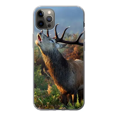 Produktbild von MuchoWow® Handyhülle Schutzhülle Hülle für iPhone 12 Pro Max Hirsche - Wald - Nebel Silikon Softcase Handy Hülle - Hartschale
