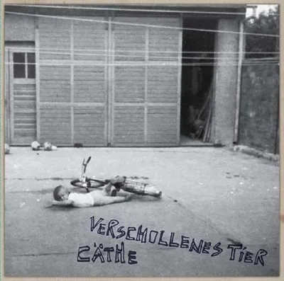 Produktbild von Verschollenes Tier