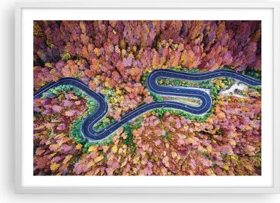 Produktbild von Gerahmtes Poster - Weißer Rahmen - Kurvenreich Weg Wald - 70x50 cm - Wand Bild - Wanddeko - Wandbilder - Kunstposter - Wandposter - Bilderrahmen - Bilder - Kunstdruck - Wandbild - P2WAA70x50-4291