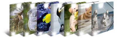 Image de Herma 19321 Dossier brillant pour animaux - A4, PP, assorti