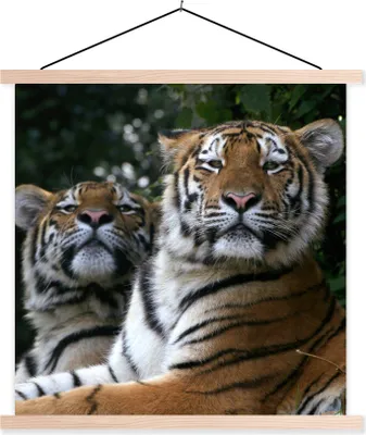 Produktbild von MuchoWow® Textilposter Tiger - Wald - Köpfe 60x60 cm mit holzfarbenen Rahmen - Wanddekoration